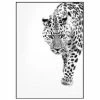 Malerifabrikken Gerahmter Digitaldruck White Leopard 1 Malerifabrikken Gerahmter Digitaldruck White Leopard -Kerzen Kerzenhalter Verkaufsgeschäft 1251264