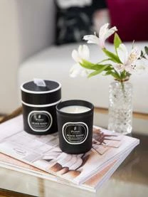 Parks London Duftkerze Black Magic (Weißer Jasmin, Ylang Ylang & Sandelholz) 6 Parks London Duftkerze Black Magic (Weißer Jasmin, Ylang Ylang & Sandelholz) – Bild 4