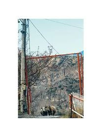 TeNeues Bildband Live From F*cking Everywhere 9 TeNeues Bildband Live From F*cking Everywhere – Bild 7